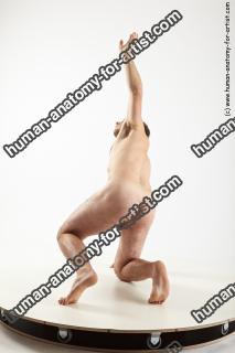 reference of various tichomir 11